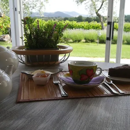 Farm stay La Dependance Sorano (Grosseto)