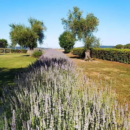 La Dependance Farm stay Sorano (Grosseto)