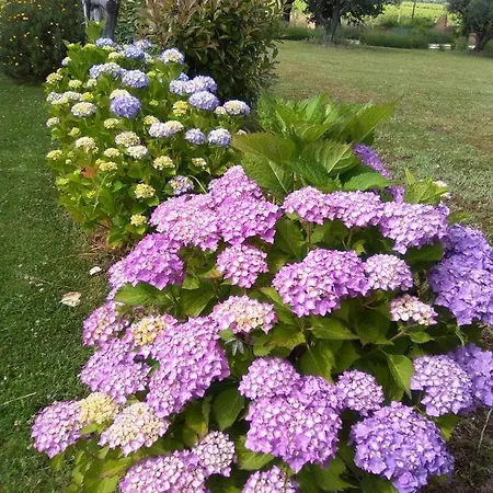 Alloggio per agriturismo La Dependance *