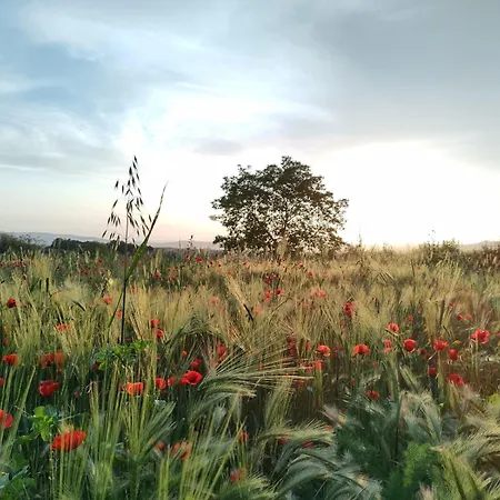 La Dependance Farm stay Sorano (Grosseto)