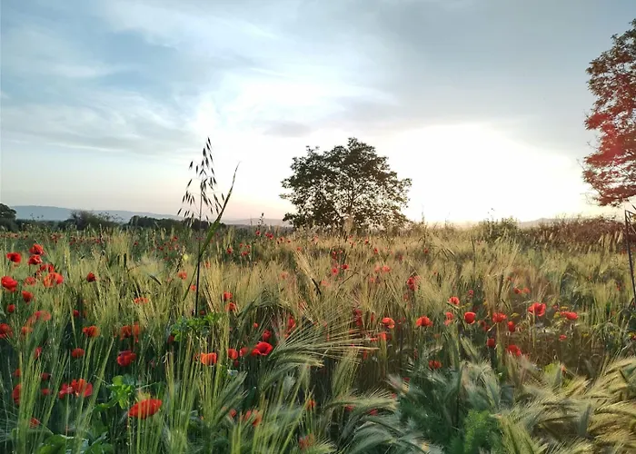 La Dependance Agroturismo Sorano (Grosseto)